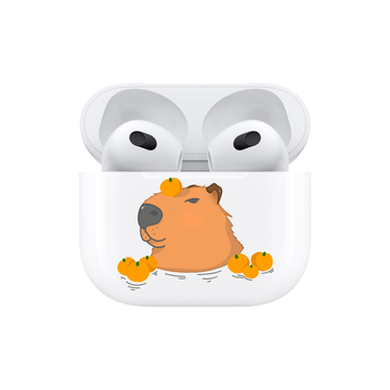 Чохол Capybara для AirPods 3 3882 фото